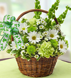 St Patricks Day Flower Basket Davenport Florist - Same Day Flower Delivery - Flower Power 